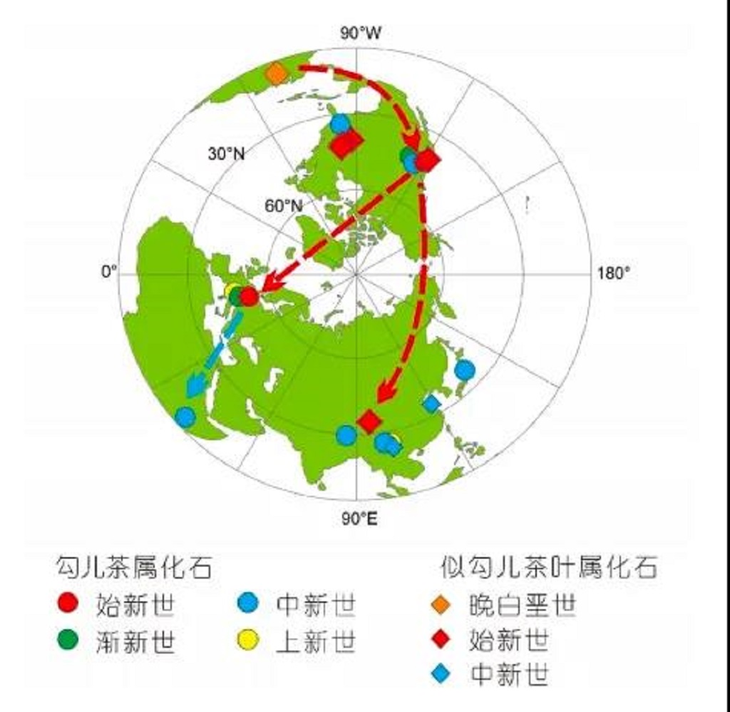 微信图片_20200622093927.jpg